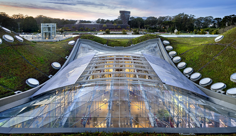 California Academy of Sciences