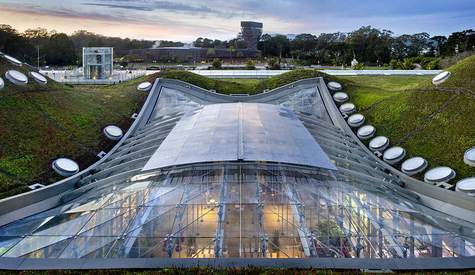 California Academy of Sciences