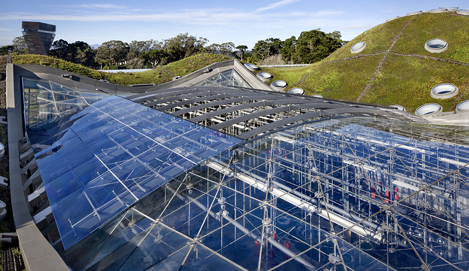 California Academy of Sciences