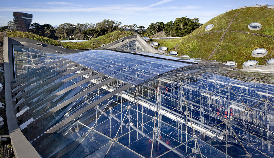 California Academy of Sciences