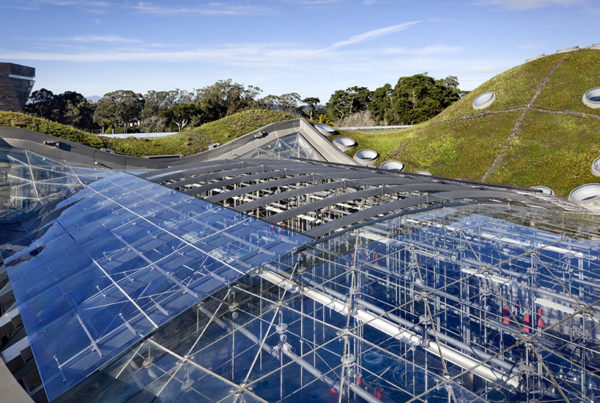 California Academy of Sciences