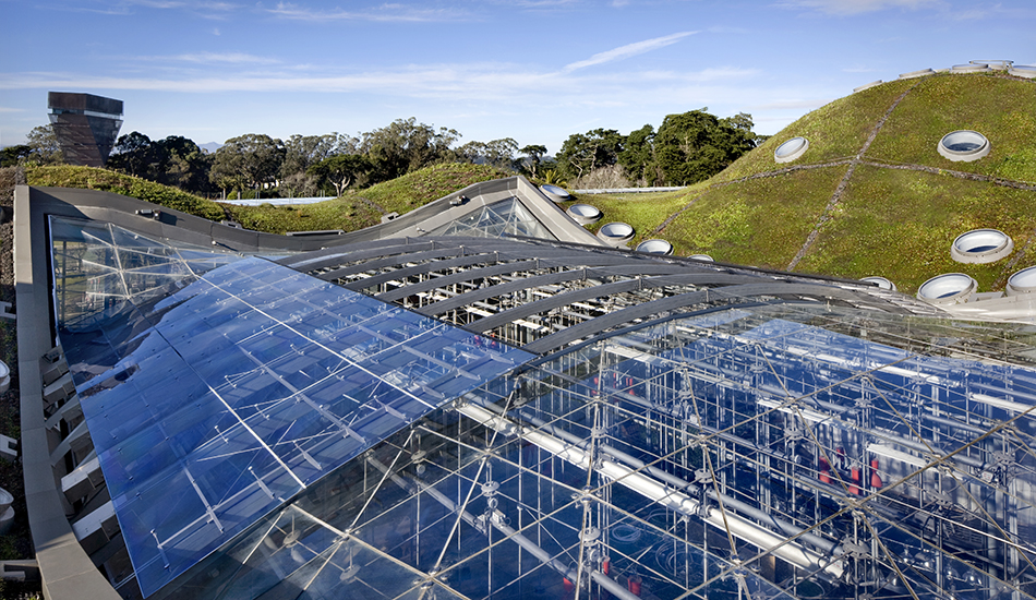 California Academy of Sciences
