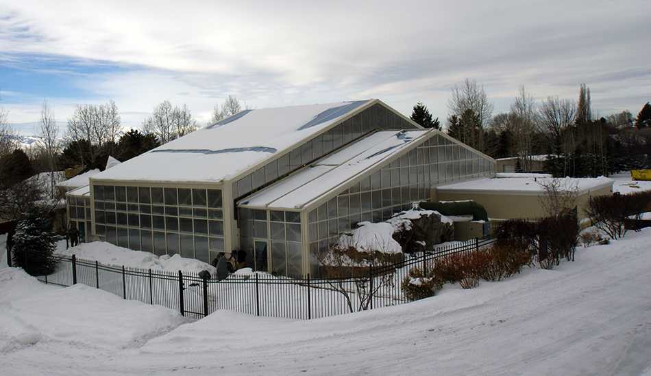 Residential Pool Enclosure