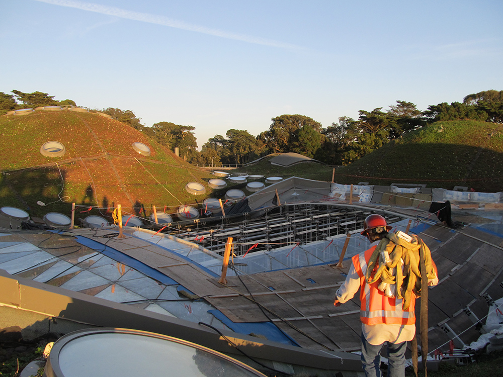 California Academy of Sciences