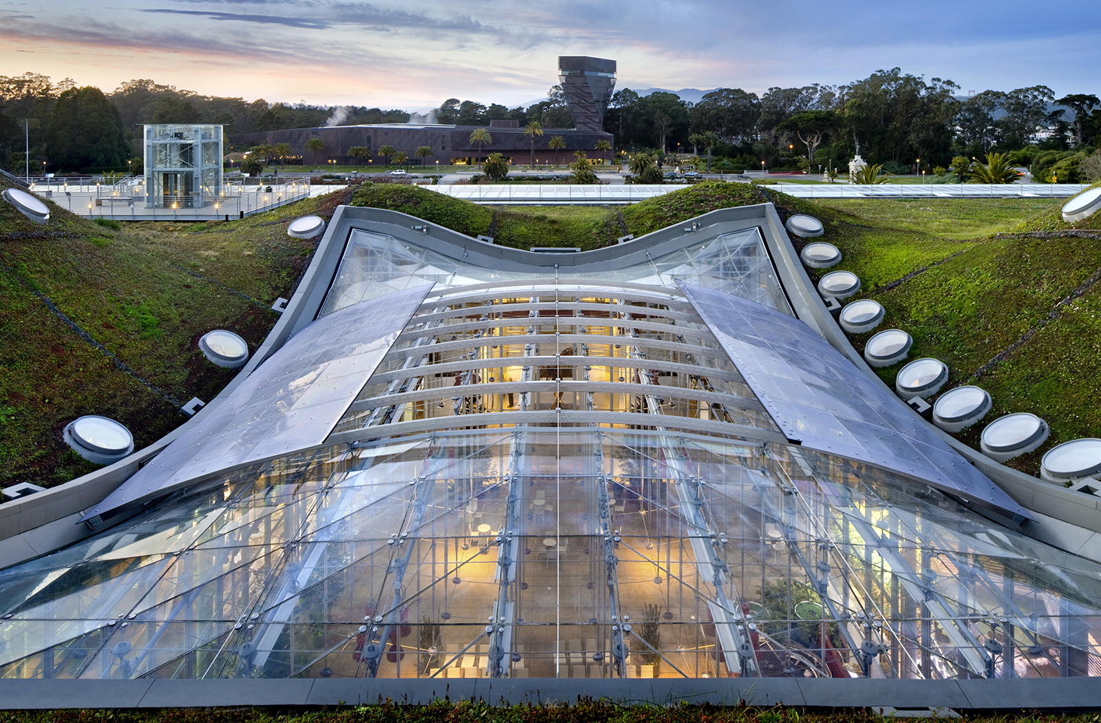 California Academy of Sciences