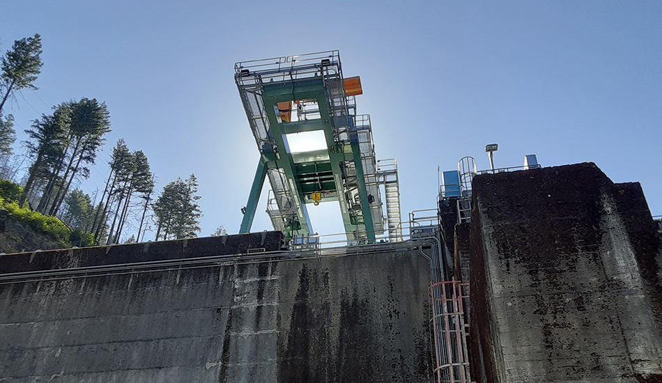 Cranes Projects